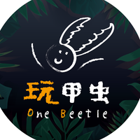 玩甲蟲